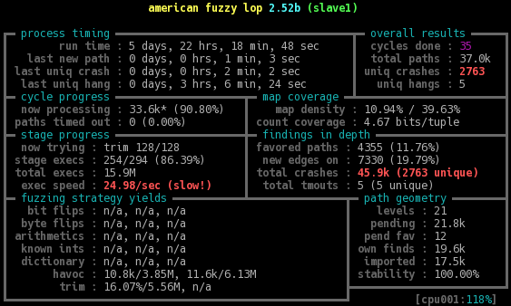 Screenshot of one fuzzer slave